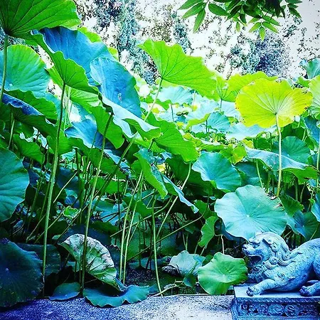 Della Pergola Relais Et Chateaux 3* Alassio