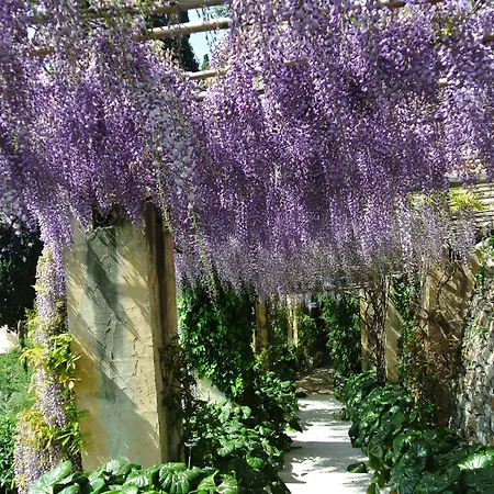 Hotel Della Pergola Relais Et Chateaux 5*
