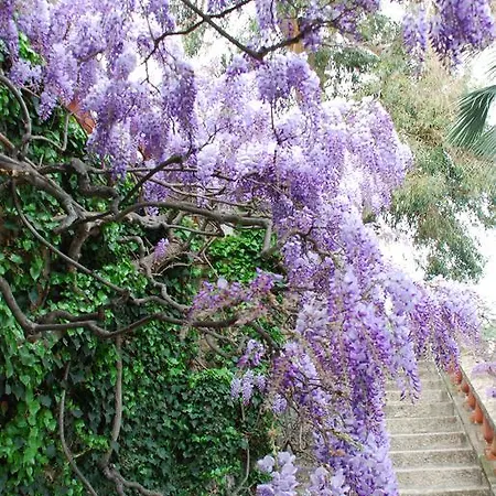 Della Pergola Relais Et Chateaux Hotel