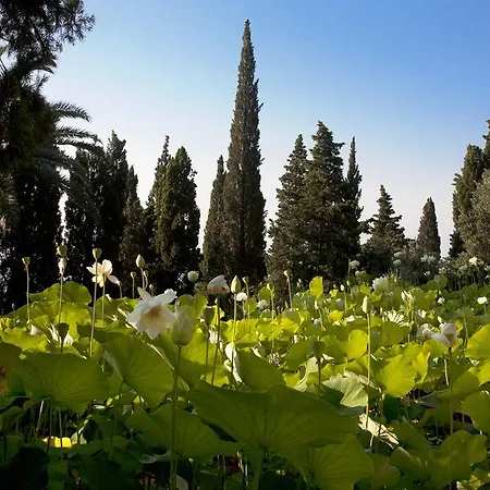 Della Pergola Relais Et Chateaux מלון 3*