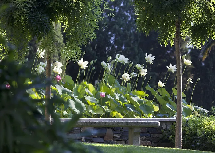 Hotel Della Pergola Relais Et Chateaux
