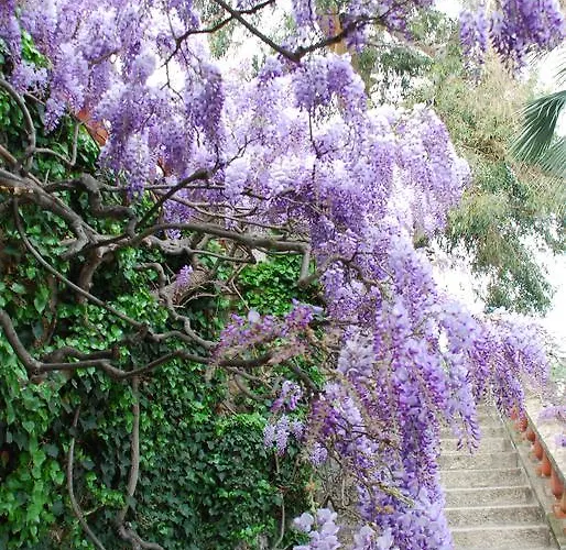 Della Pergola Relais Et Chateaux Отель