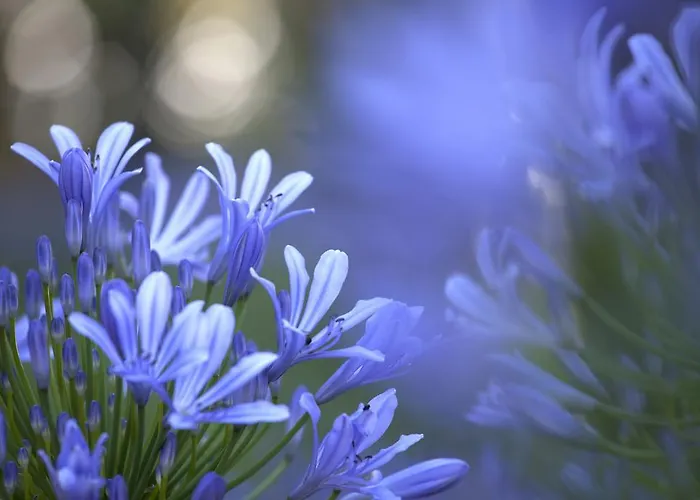 Della Pergola Relais Et Chateaux