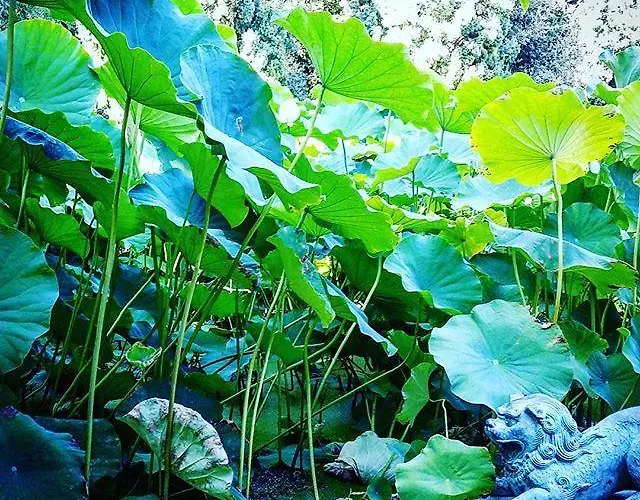 Della Pergola Relais Et Chateaux 5* Алассио